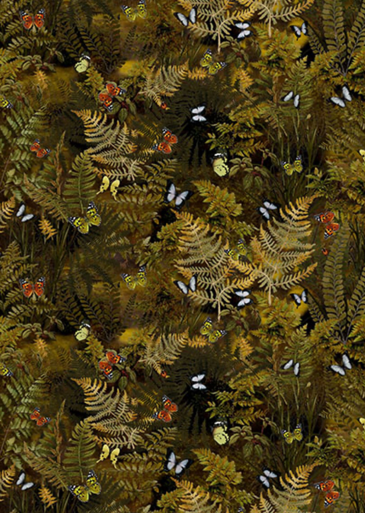 Among the Ferns Hoffman