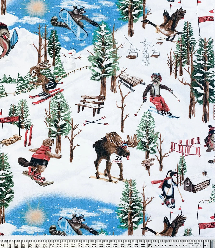 Mountain Scene