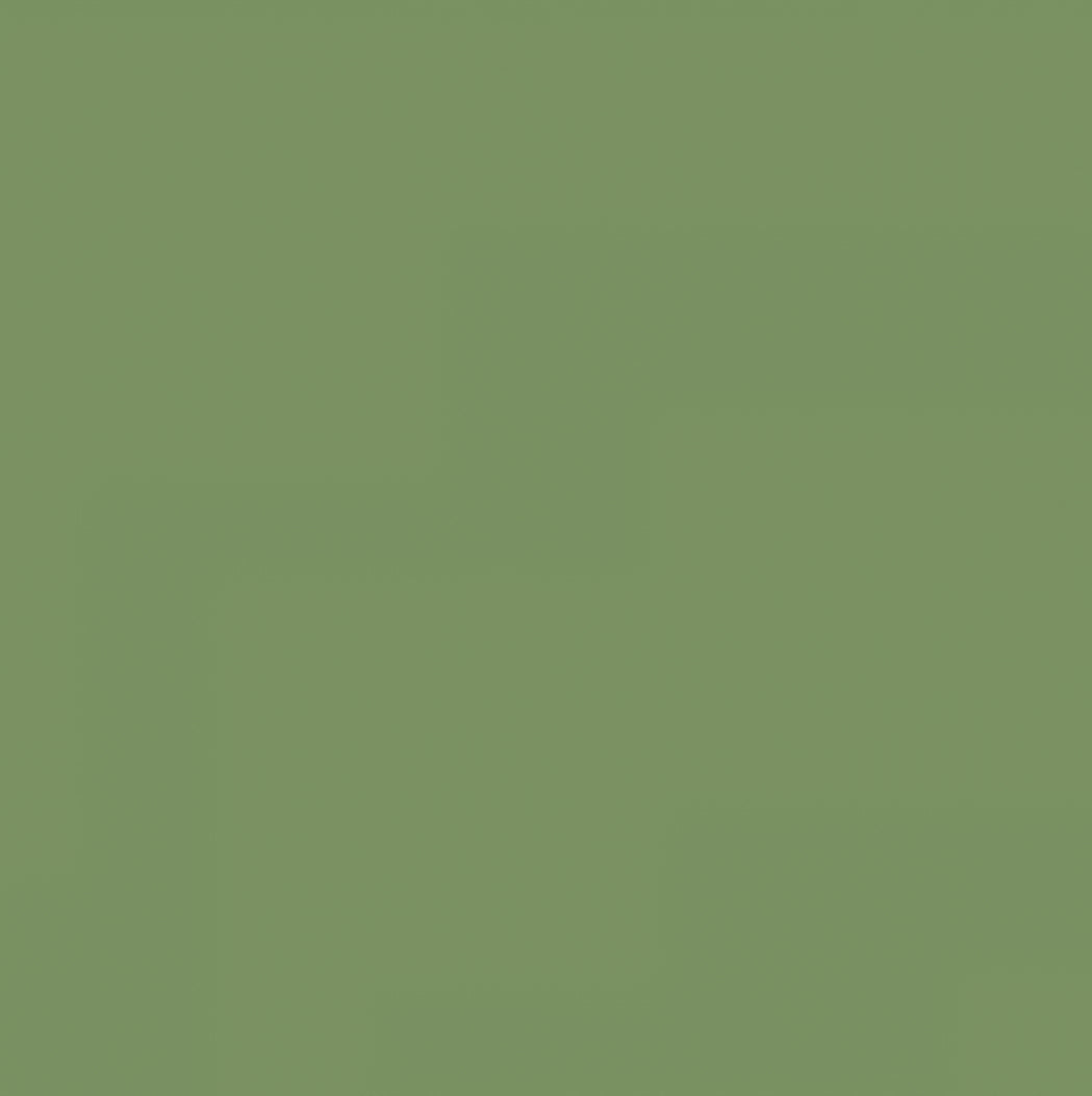 Pure Solids Art Gallery Fabrics - Matcha