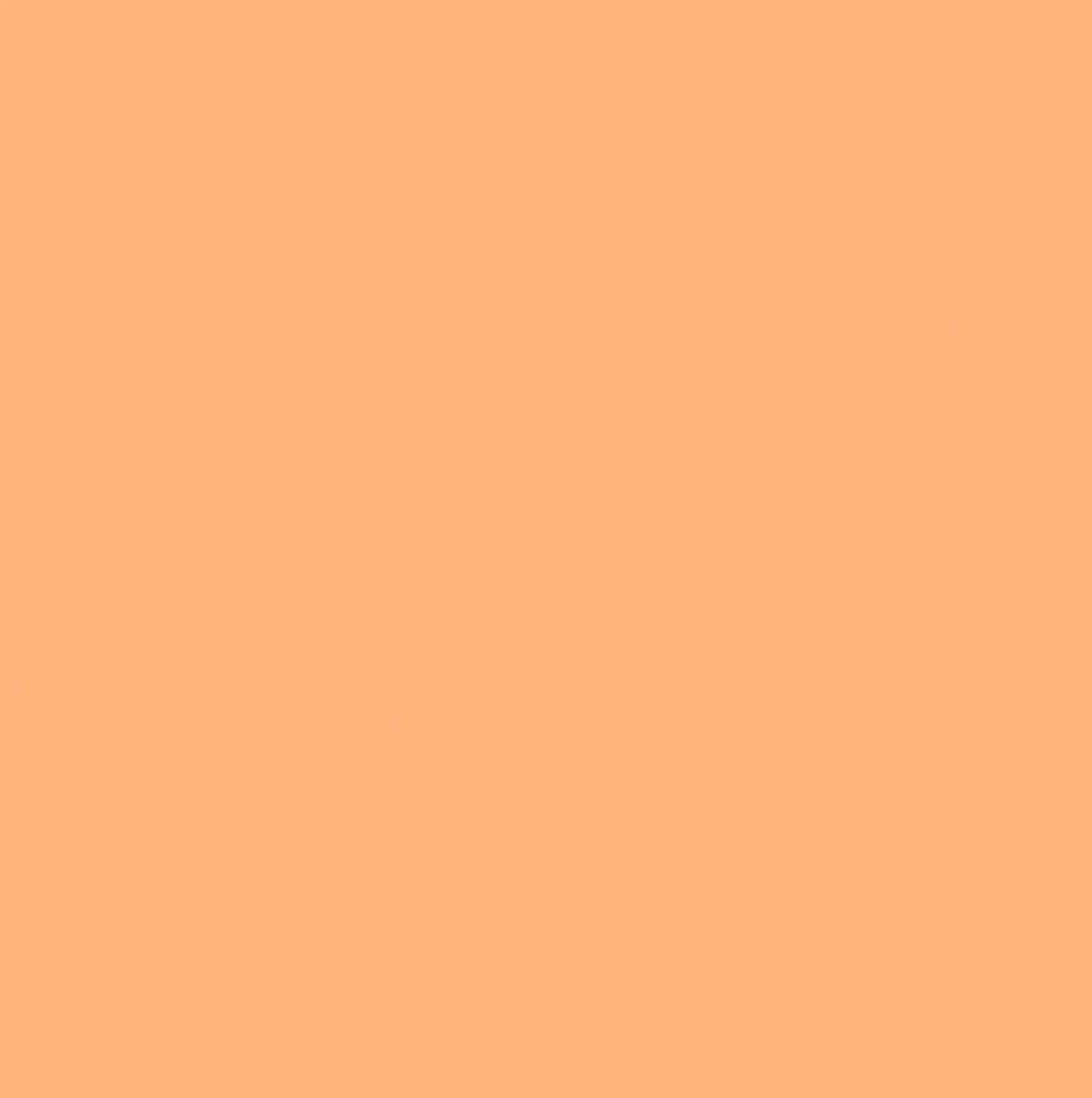 Pure Solids Art Gallery Fabrics - Shrimpy
