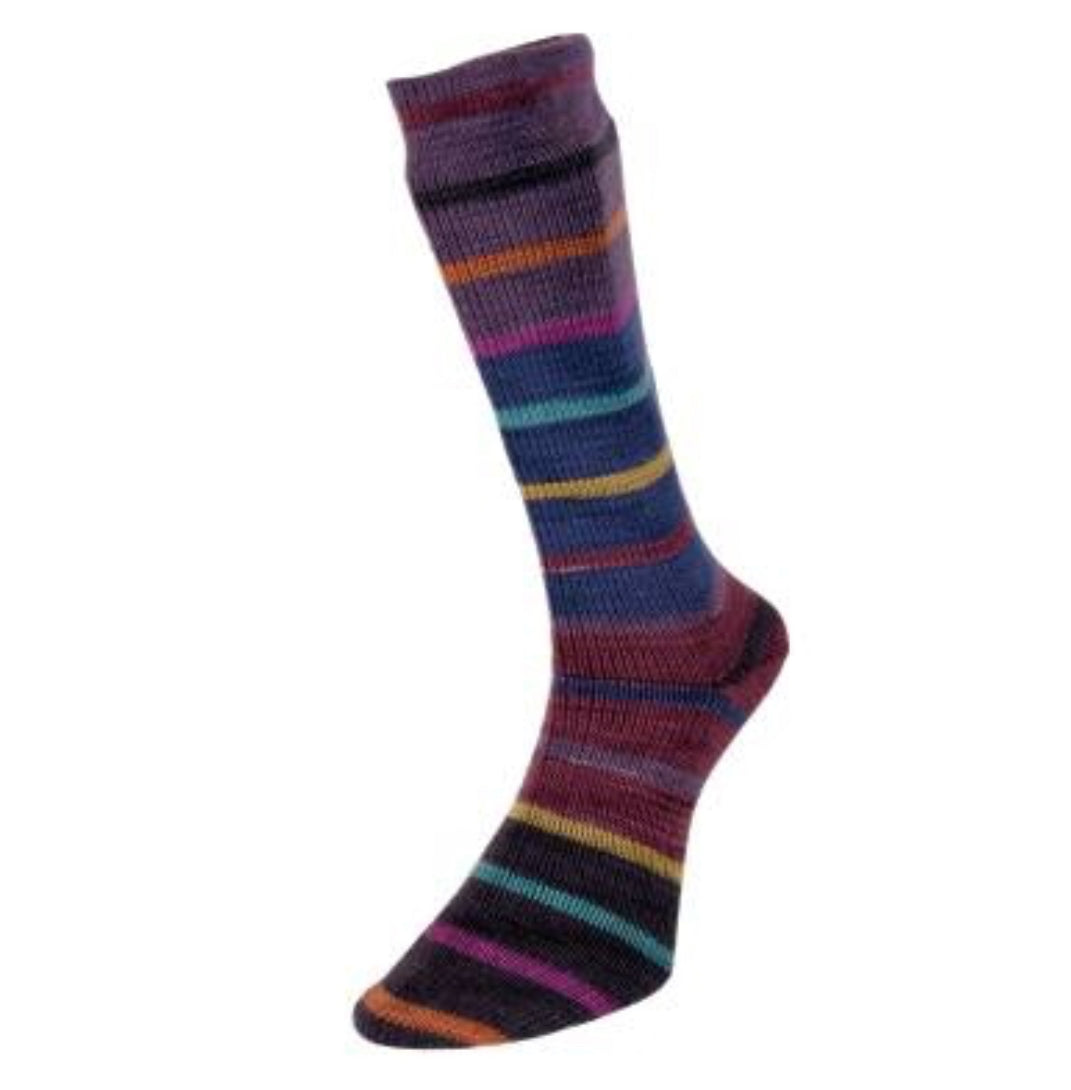 Evolution Sock Yarn Wine Gums