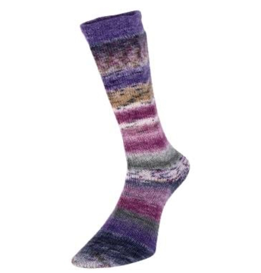 Evolution Sock Yarn Grape