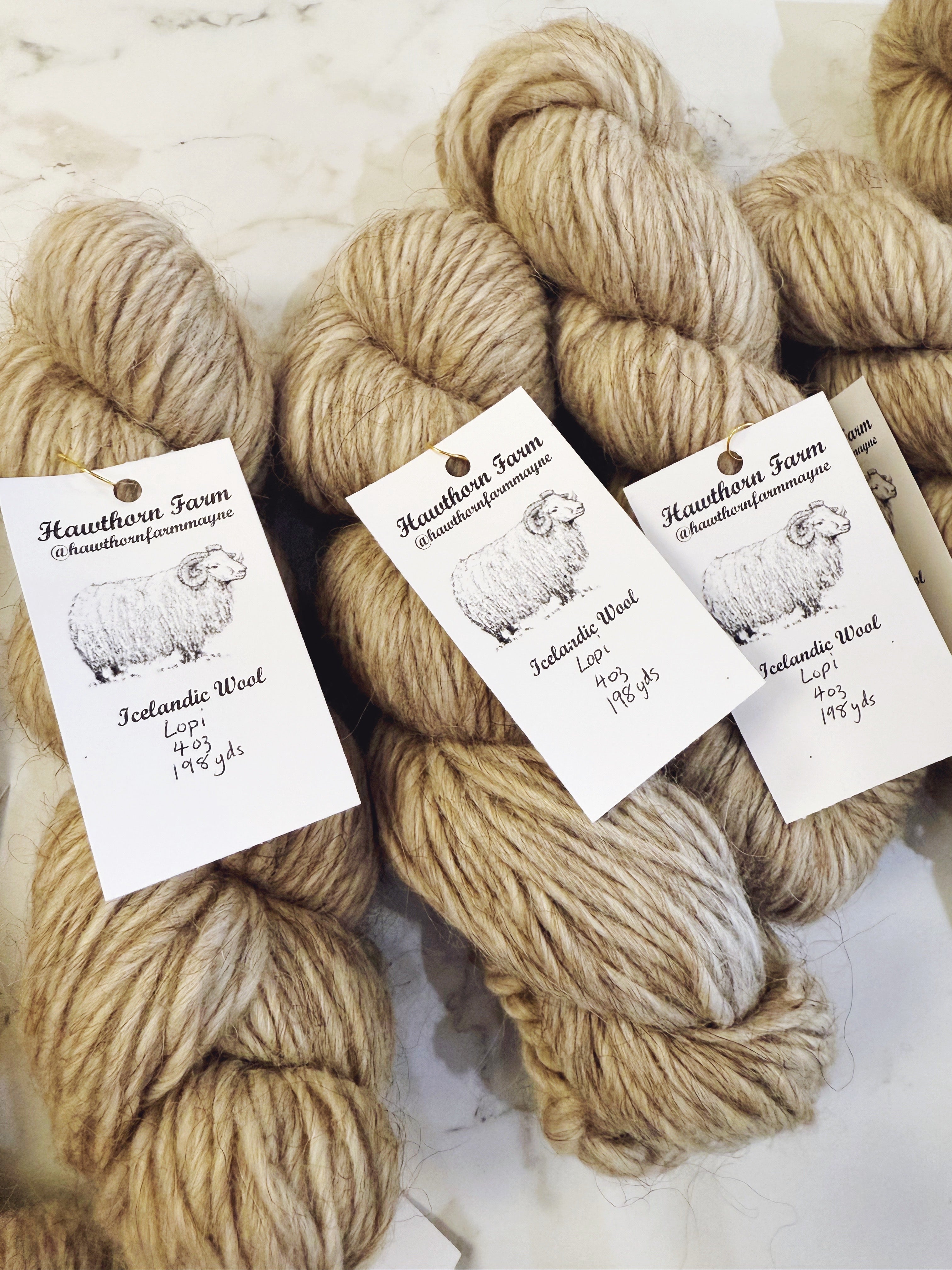 Hawthorne Farm Icelandic Wool Lopi Warm Tones