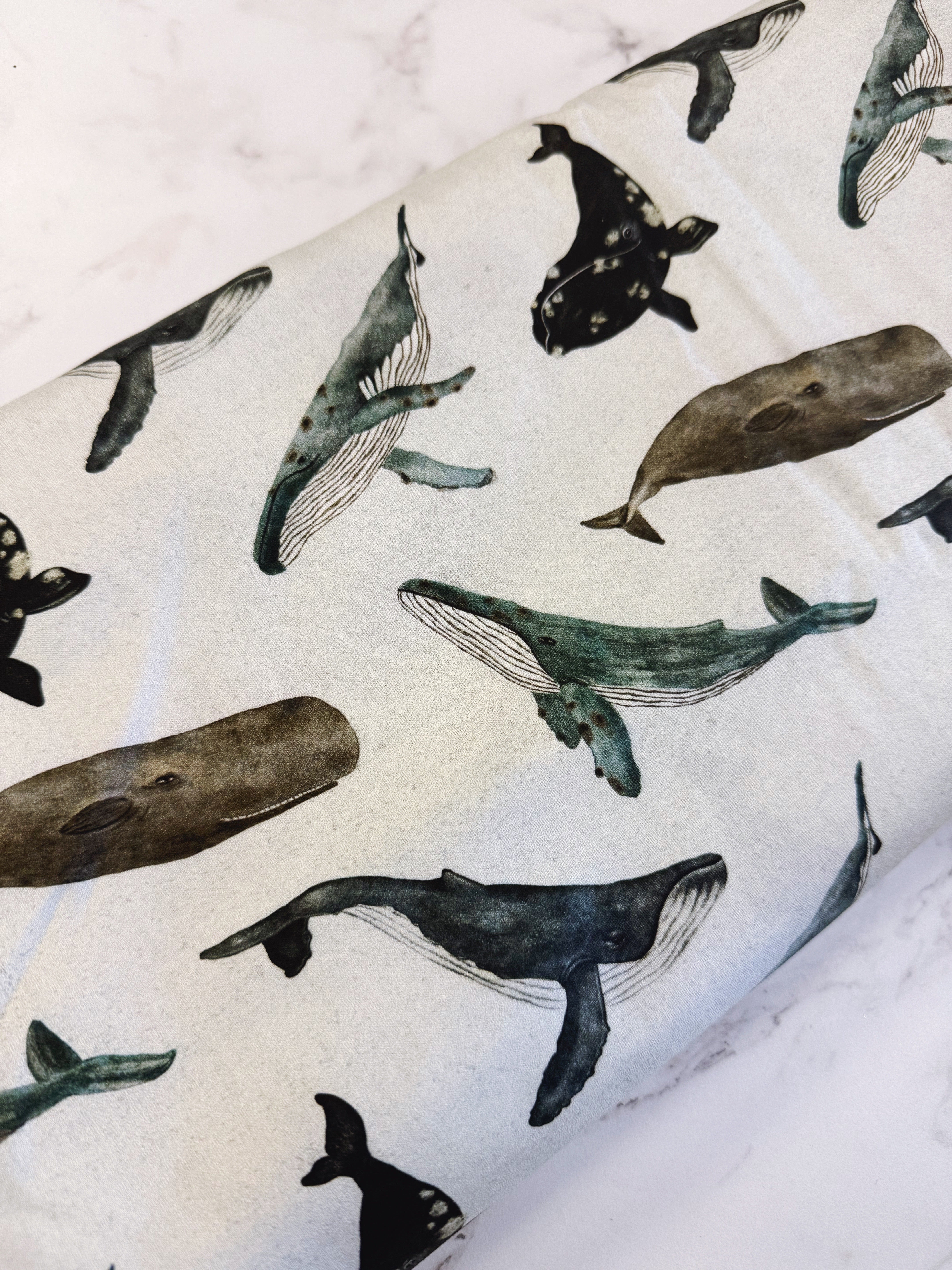 West Coast Whales