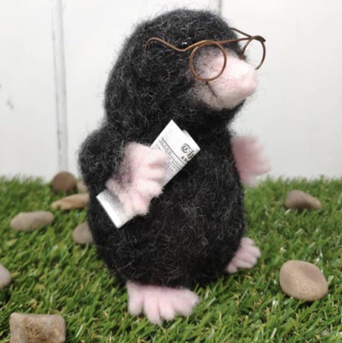 The Crafty Kit Company - Mr Mole Needle Felting Craft Kit