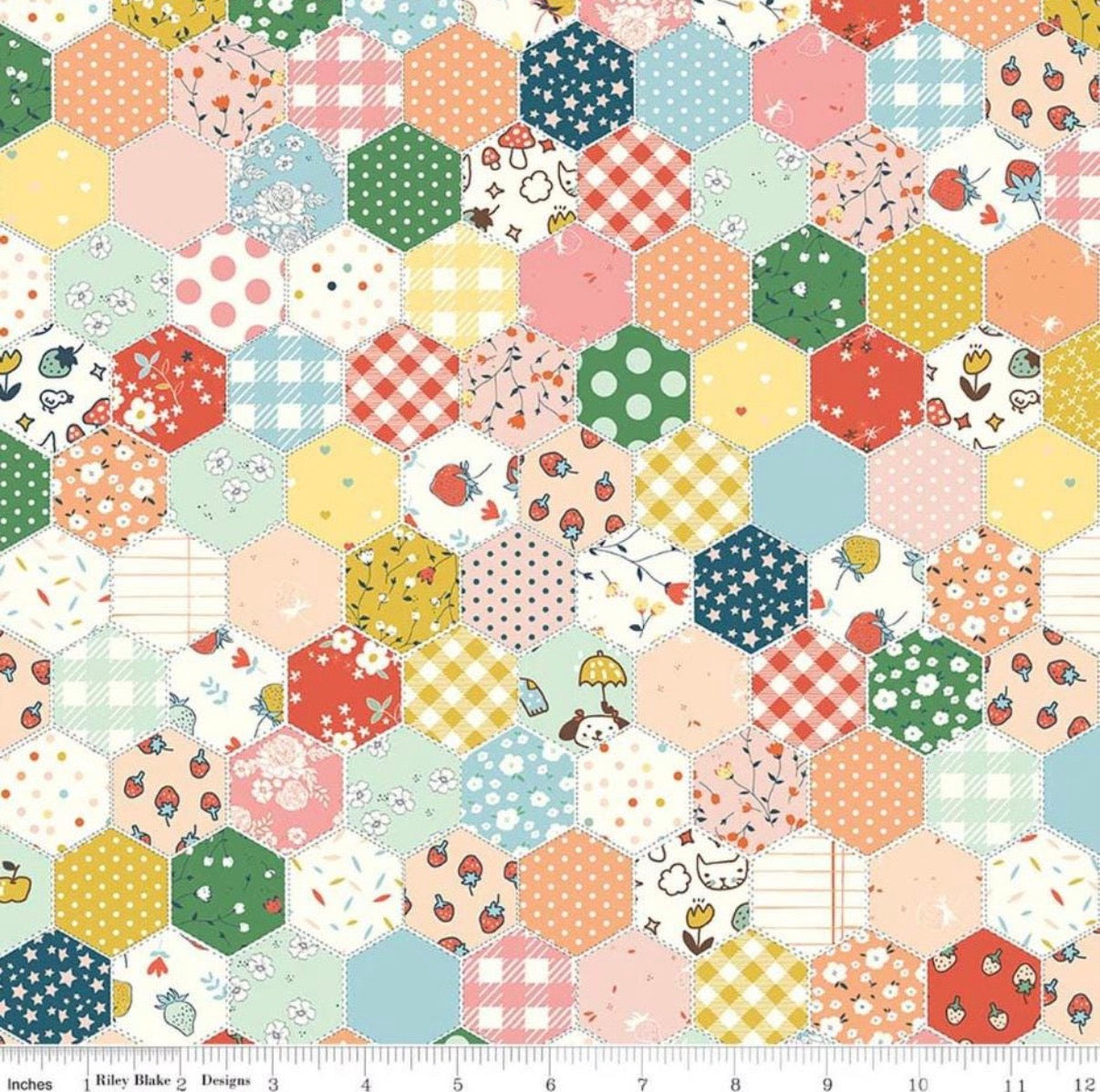 Minki Kim Serendipity Cheater Print Riley Blake