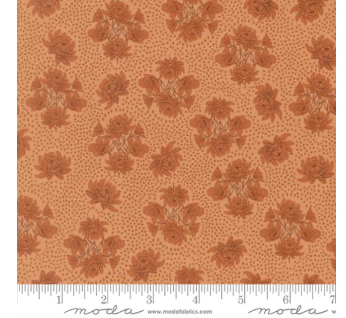 Wellspring by Fancy that House Design Coral Seashell