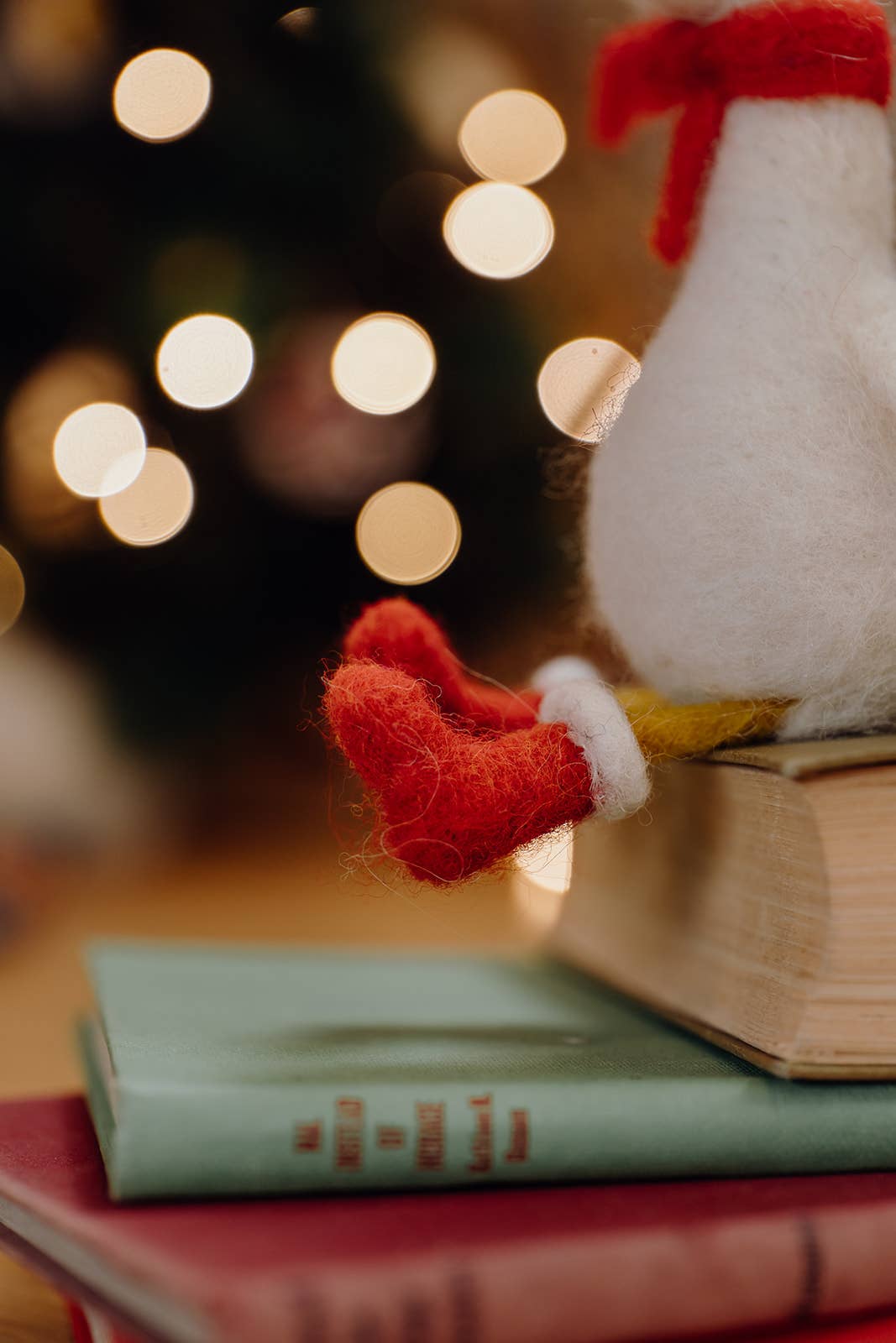 The Crafty Kit Company - Winter Goose Needle Felting Kit