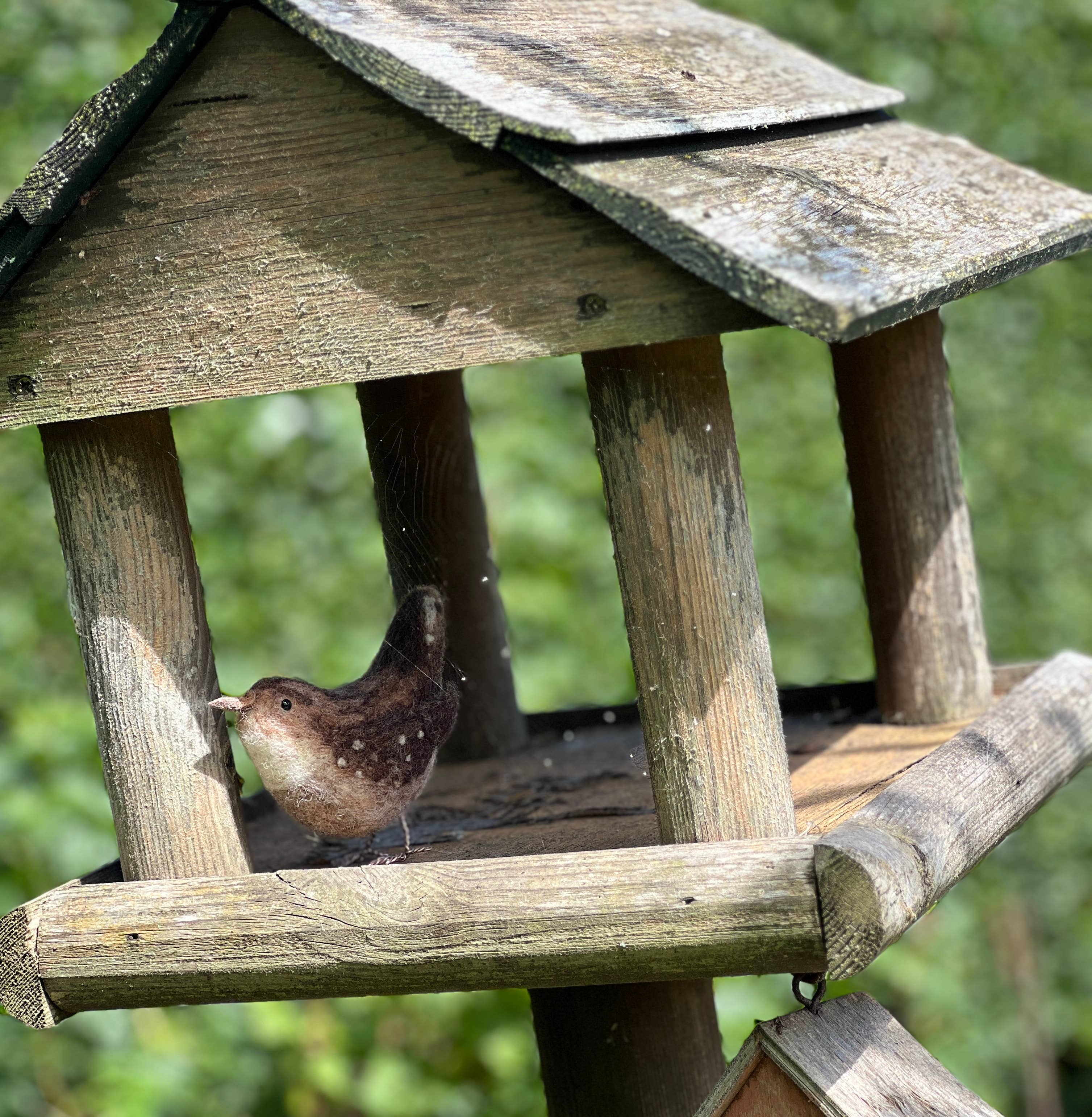 The Crafty Kit Company - British Birds - Jenny Wren Needle Felting Craft Kit